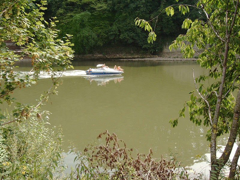 Ein Boot fährt auf dem Neckar, gesehen vom bewaldeten Ufer des Campingplatzes